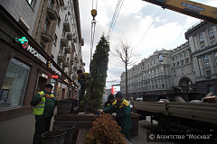 На портале «Активный гражданин» москвичи поддержали высаживание деревьев в кадках на улицах города