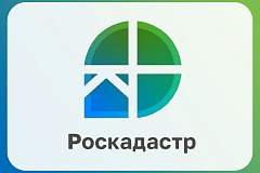 Инструкция по проверке и использованию электронной выписки  из ЕГРН