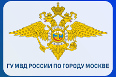Полицейские юга Москвы задержали подозреваемых в краже из магазина