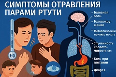 Сдай ртутную лампу