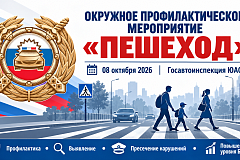 В ЮАО пройдет окружное профилактическое мероприятие «Пешеход»