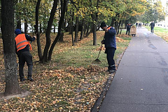 Силами ГБУ "Жилищник района Чертаново Северное" проводятся уходных работы на улицах района по уборке опавшей листвы и прогребанию газонов.