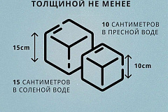 Тонкий лед - причина трагедии